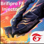 Brifipro ff